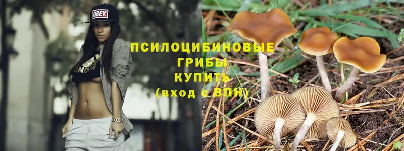 ссылка на мегу ссылки  Белёв  Галлюциногенные грибы Cubensis 